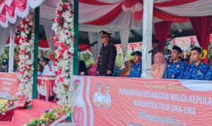d65b62f2-a89b-4e6c-8ada-ff7a9a201476