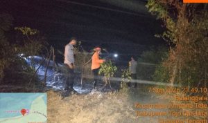 WhatsApp Image 2026-09-08 at 09.49.24
