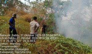 WhatsApp Image 2026-10-31 at 10.18.45
